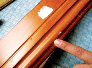 实木地板生虫照片