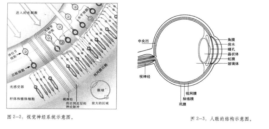 视觉体验系统示意图