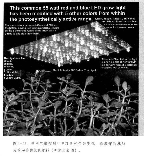 光学肥料的原理图