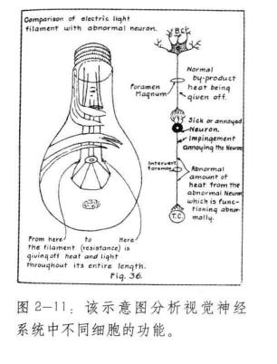 明视觉,暗视觉对比图