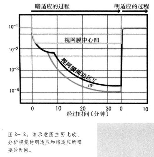 明适应和暗适应对比图