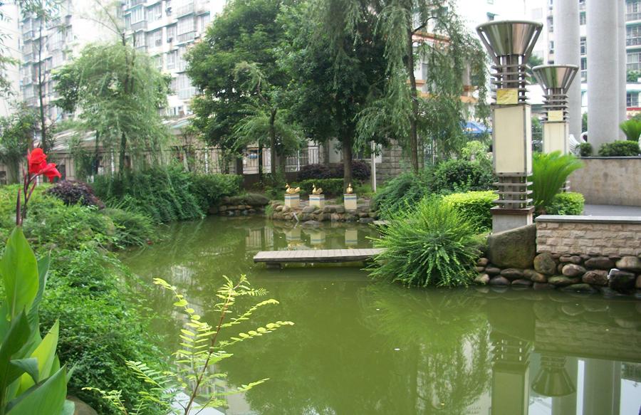 小区环境风水图