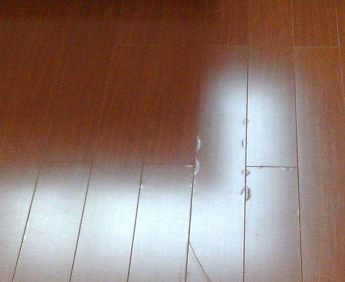 王女士家起泡的木地板照片