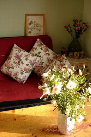 法式浪漫田园家装